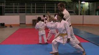 Aikido - Katatedori Taino Tenkan