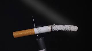 Cigarette Burning Down - Free Footage - 4K