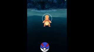 Pokemon Go Capturing Charmander