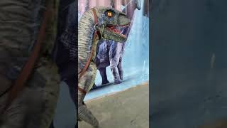 Delman Dino (?) #shortvideo #shorts #viral ##dinopark #dinosaurs