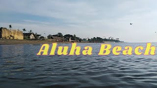 Aluha Beach with white birds