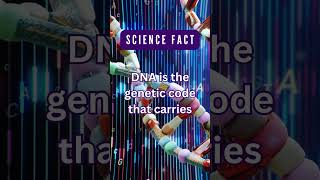 The Genetic Code (DNA)