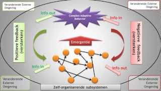 Interim-management als systeem