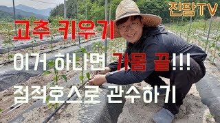 고추농사 고추모종부터 고추수확까지 가보자 #3 I 고추밭 관수시설 설치하기