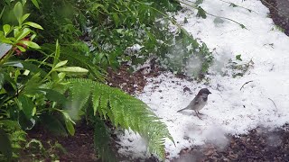 Freak Storm in North East Scotland, 27th May 2024