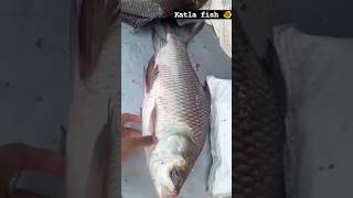 amazing katla fish live ^katla fish cutting/Mahesh fish shop dawdi market#fish#fishing#shorts