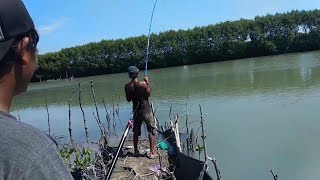 Mancing di muara ikannya ganas-ganas//Fishing in the mouths of fish is fierce