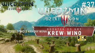 Wiedźmin 3 Dziki Gon Velen, Skellige Poselstwo z Krainy Wina cz.37 #wiedźmin