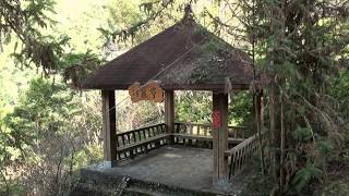 八仙山森林遊樂區 - Basianshan Forest, Guguan, Taiwan