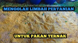 MENGOLAH LIMBAH PERTANIAN MENJADI PAKAN BERKUALITAS!!!