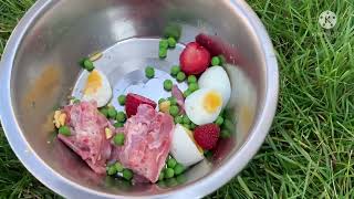 German shepherd epic raw meal (barf diet)