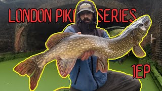 LONDON PIKE SERIES: I did not EXPECT to catch that fish in LESS thanTWENTY minutes.