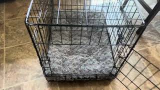 Review of MidWest Homes for Pets Newly Enhanced Single  Door iCrate Dog Crate