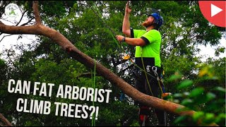 CAN FAT ARBORISTS CLIMB TREES?! - SHANE'S TREES FAQ#9