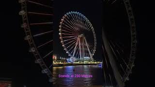 Ain Dubai World's Biggest & Tallest Observation Wheel #DubaiDekho #dubaitour #shorts #youtubeshorts