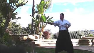 Roninkan Kenjutsu 6 basic forms