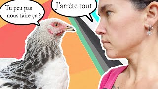 gagner sa vie avec les poules ?