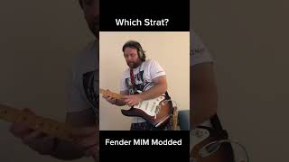 Which STRAT? #shorts #guitar #guitarsolo