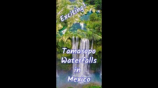 Don't miss the hidden place in your Mexican,Tamasopo Waterfalls #shorts