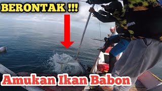 Satu Kapal Di Bikin Panik || Mancing Ikan Di Laut