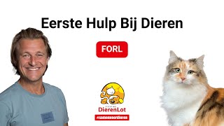 Wat is FORL bij katten?