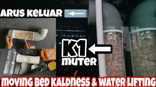 MOVING BED KALDNESS K1 SEKALIGUS WATER LIFTING SEBAGAI ARUS ATAS AQUARIUM . DIY FILTER AND TESTING!