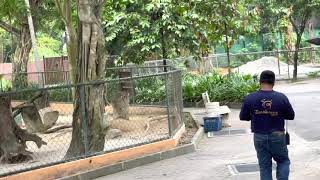 Zoo Negara Kuala Lumpur Malaysia PART3