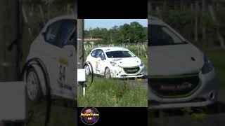 Rallye National du Saint Emilion 2024, GRENIER Alexis / MARCHIVE Gabriel, Peugeot 208