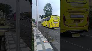 Basuri lik Primadona Trans JB5 #busmania #telolet #basuri #bisbasuri #buspariwisata