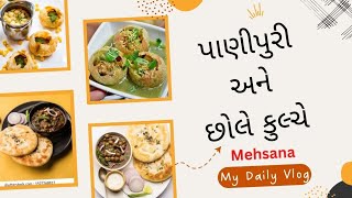 ||પાણીપુરી એટલે મહિલાઓ માટે જગ ઘુમિયા થારે જેસા ના કોઈ. અને છોલે કુલ્ચે.||