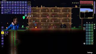 Terraria seiklused koos sõbraga 2-ne päev