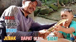 Hasil pasang bubu jebak dapat ikan sidat buat mainan si bocil