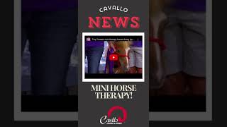 Cavallo News: A chance to meet Amber Marshall, Monty Roberts' new movie, and more!