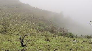 خريف صلالة 2021 Salalah