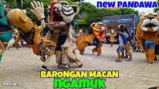 BARONGAN MACANAN NEW PANDAWA‼️ ADA YANG BARU