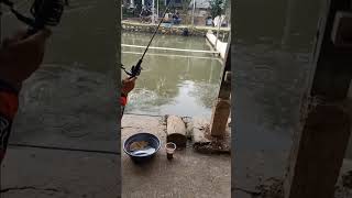 Rejeki Mancing