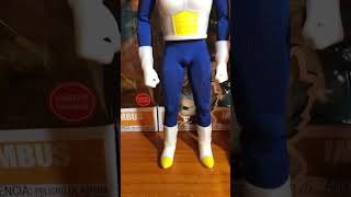 Goku and Vegeta 1/6 Custom Action Figures #actionfigure #dragonball #Goku #Vegeta