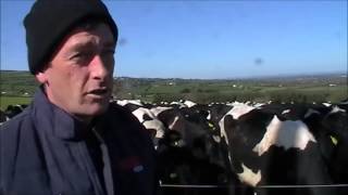 Cathal Moran Dairy Farmer Co. Kilkenny grassland management for dairy cows