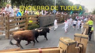 ENCIERRO DE TUDELA !! DOMINGO 28 Julio 2024 !!! CURVA HACIA CALLEJÓN DOS HERIDOS 🤕 ‼️