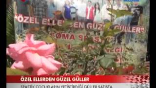 Engellilerin Yetiştirdiği Güllerin Satımı TRT HABER'de...