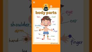 #shorts Learn about Body Parts #learnandpracticeofspeaking #teacher #howtospeakenglishforkidseasily