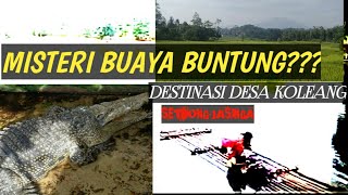 Setu Kadongdong Jasinga Bogor | Kp.Pamukulan dan Kp.silongong Desa Koleang kec. Jasinga Kab. Bogor