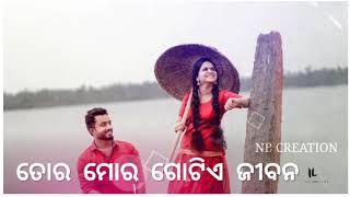 Gote suna chadhei ! Tora Mora gotie jibana  ! Odia lyrics status video ! New whatsapp status video !