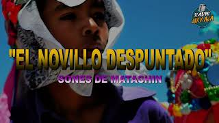 SON DE MATACHIN - EL NOVILLO DESPUNTADO