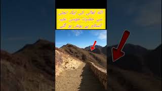 الله تعالیٰ کی ایک ثحج سے حضرت موسیٰ علیہ السلام #islamicvideo #duet #duetz #unfrezzmyaccount #funny