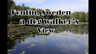 A dog walker's Sight and Sound | Kungälv Sweden