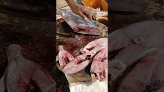 Amazing surmai fish cutting skills | fish surmai cutting video live India #shorts #fish #fishing