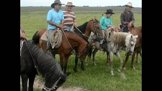 Llanero que canta y silva en plena sabana abierta