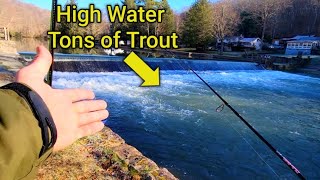 Rainbow TROUT Fishing with Spinners (Season Opener)