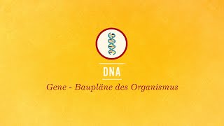 DNA: Baupläne des Organismus